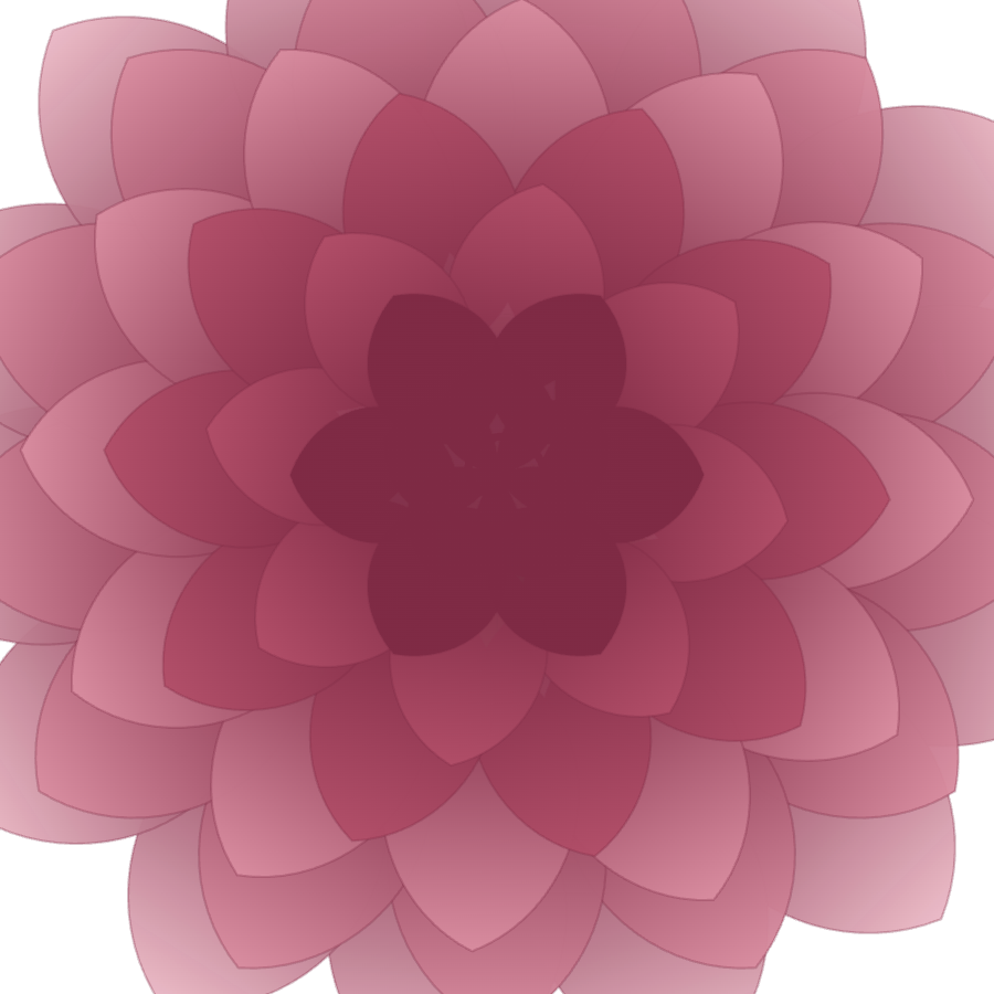 Rose Oil Absolute bloom